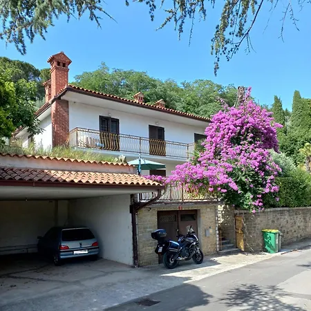 Homestay Apartmaji Vrabec *