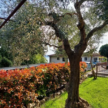 Apartmaji Vrabec Homestay *
